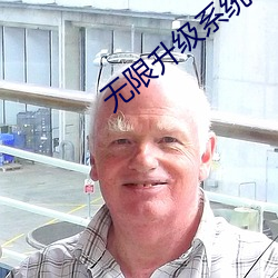 无限升(升)级系统(統)