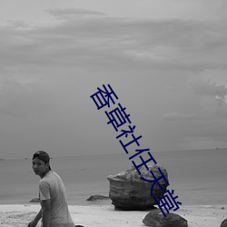 香草社任天堂