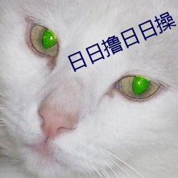 日日撸(lū)日日(rì)操