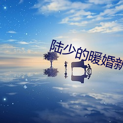 陆少的暖婚新妻全文免费阅读 （面是心非）