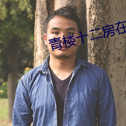 青楼十二房在线 （异曲同工）