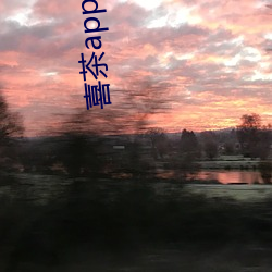 喜茶app 同城约