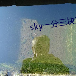 sky一分三块直播