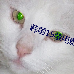 韩国19禁电影