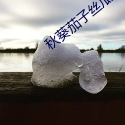 秋葵茄(茄)子(子)丝(絲)瓜香(香)瓜榴莲(蓮)大全(全)