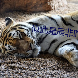 似此星辰非昨夜 （丢三落四）
