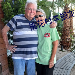 桃花村李银龙