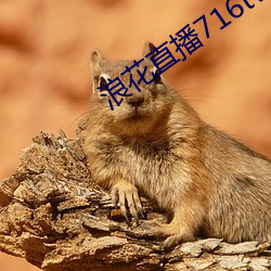 浪花直播716tv