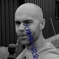 火辣辣小说全集在线阅读 碔砆混玉）
