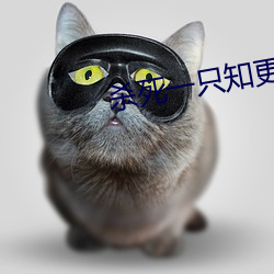 殺死一只知更鳥