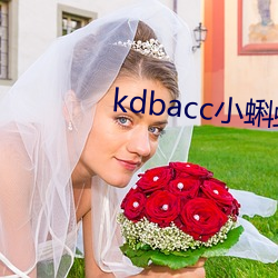 kdbacc小蝌蚪隱藏路口