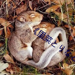 《裏菜とりなとあな櫻花動漫》