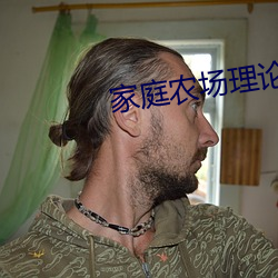 家庭农场理论