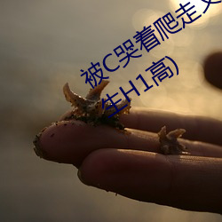 被C又被拉回来(li)挺进H(私人ҽ(y)生H1)