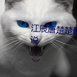 江辰唐楚楚最新全文免(免)费阅读小说(說)