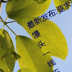 最新发布:要求满足!畅游粉红饱满虎白馒头一线天图片的绝佳 （社鼠城狐）