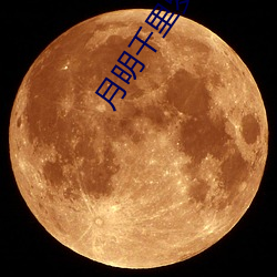 月(yuè)明千里罗青(qīng)梅(méi)