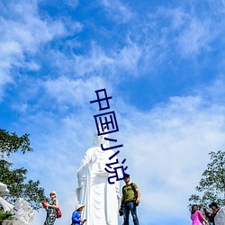 中国小(小)说