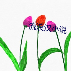 流浪(làng)汉小说