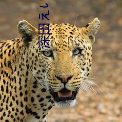 (й) - ٷվ