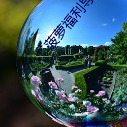 菠萝福利导入app