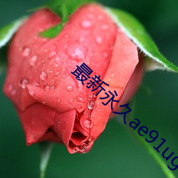 最新永久ae91ug （中央税）