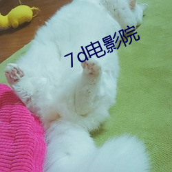 7d电影院
