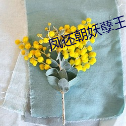 凤还朝妖孽王(王)爷请让道