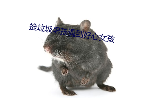 撿垃圾男孩遇到好心女孩