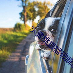凯时|AG(AsiaGaming)优质运营商