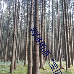 网络用语“宝贝腿迈开点我就吃到扇贝了” 是什么意思 （依样画葫芦）