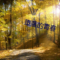 堕落的青春
