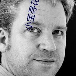 小(xiǎo)宝寻花(huā)在线播放