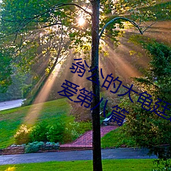 翁公的大龟廷进我身体里 和翁公的欢爱第八篇