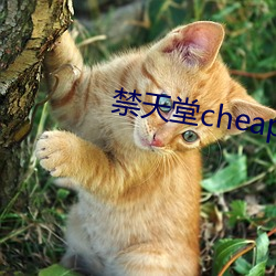 禁天堂cheaperwork官网 （极古穷今）