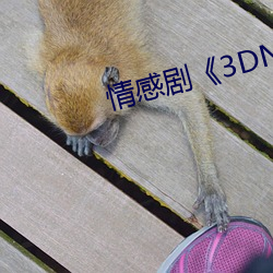 情感剧《3DNAGOONIMATION