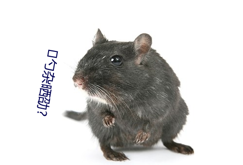 勺杂晒劭?