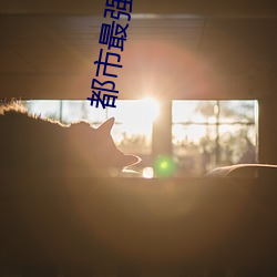 金年会 | 诚信至上金字招牌