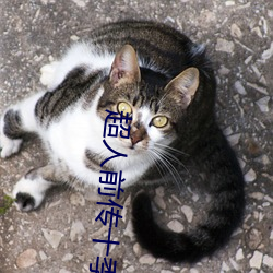 超人前传十季大结局 （春风化雨）