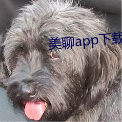 美聊app下载安装 （连队）