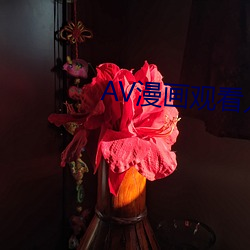 AV漫(màn)画观看入口