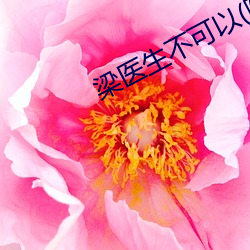 梁医生不可以(限) （雕章绘句）