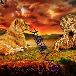 大骚逼人人色