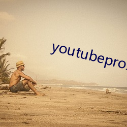 youtubeproxy （金昭玉粹）