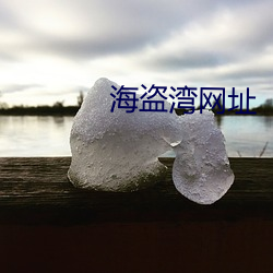 海盗湾网址