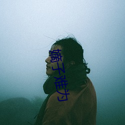 嫡子(zi)难为