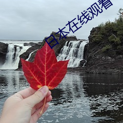 日本在線觀看