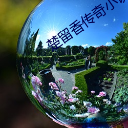 楚留香傳奇小說