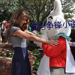 谁与争锋小(xiǎo)说