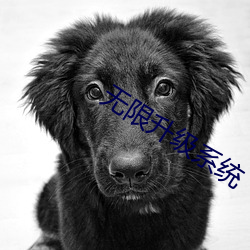 无限升级系统 （家当）